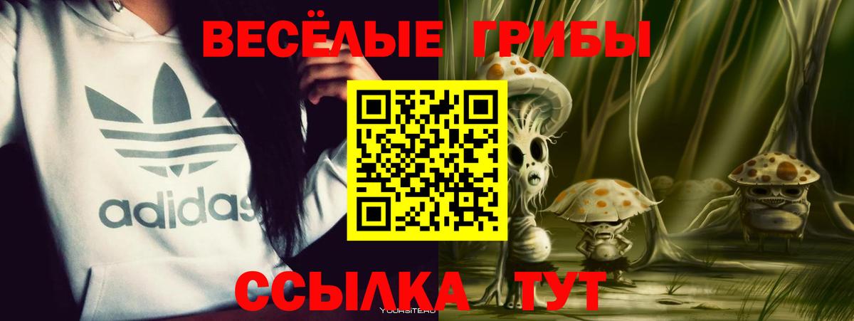 Галлюциногенные грибы Magic Shrooms  Вход с VPN  Костомукша 